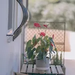 Апартаменты Summer Blue Chania