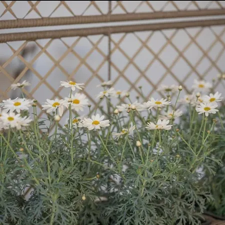 Summer Blue Chania Appartamento La Canea