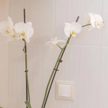 Summer Blue Chania *