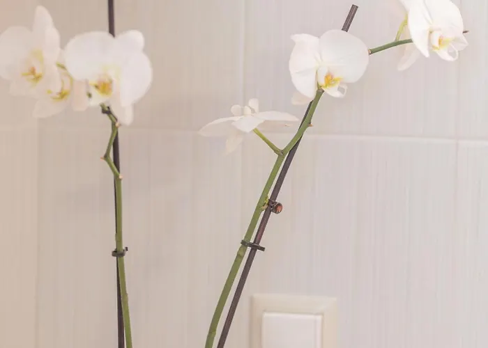 Summer Blue Chania *