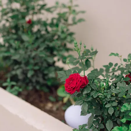 Apartman Summer Blue Chania