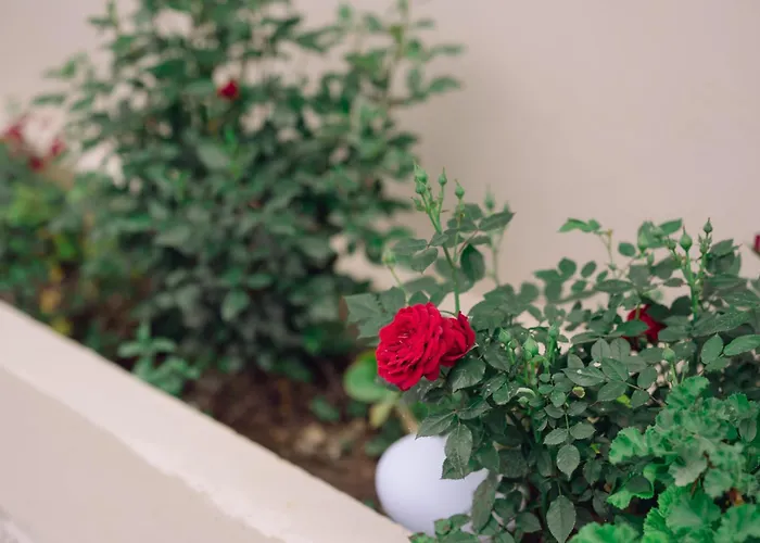 Apartament Summer Blue Chania