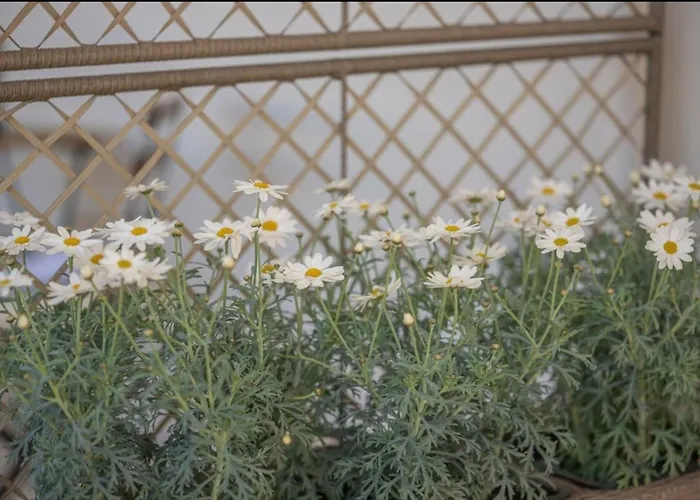 Summer Blue Chania Apartmán Chania (Crete)