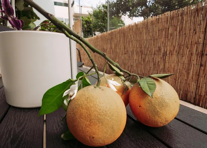 Summer Blue Chania *