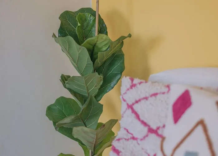 Summer Blue Chania Chania (Crete)