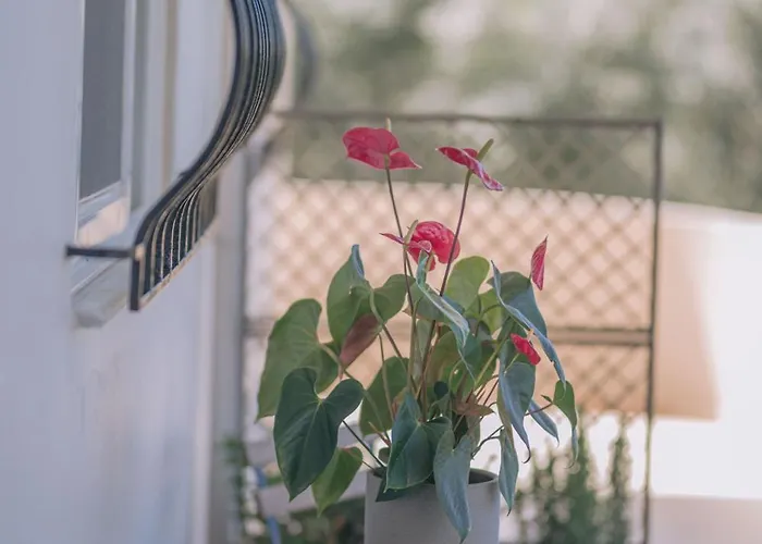 Apartament Summer Blue Chania